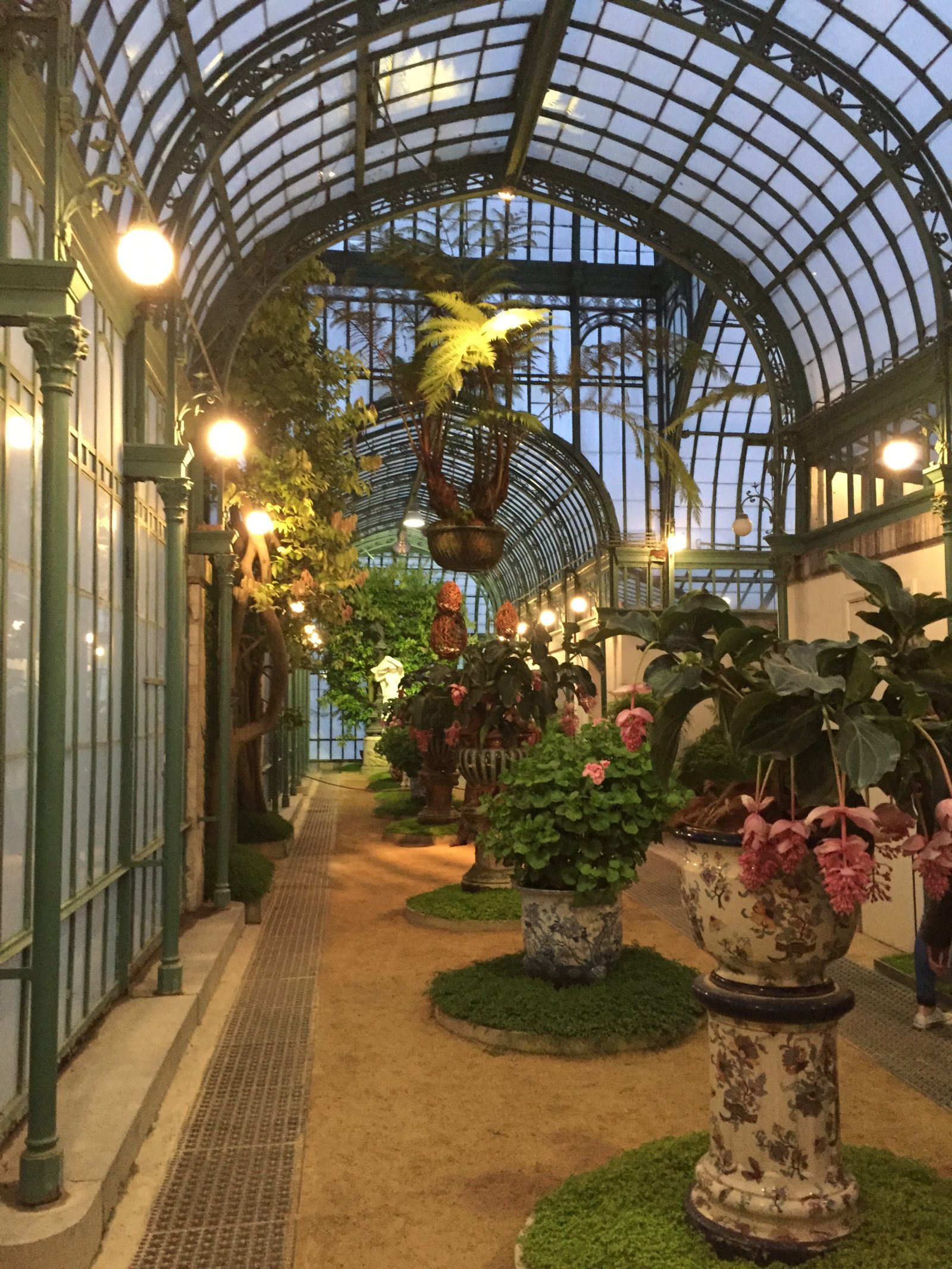 Belges En Route At The Royal Greenhouses Of Laeken Brussels